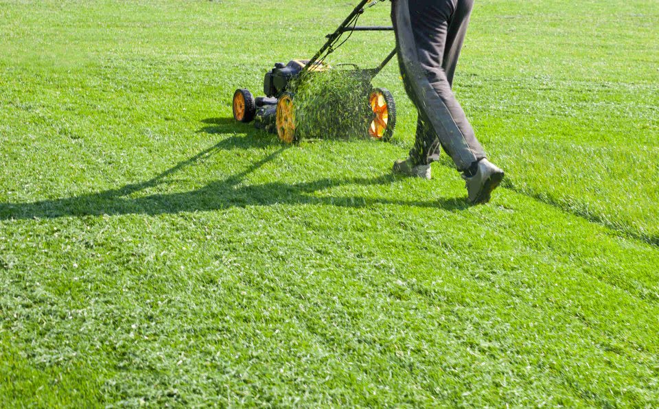 Person mowing lawn