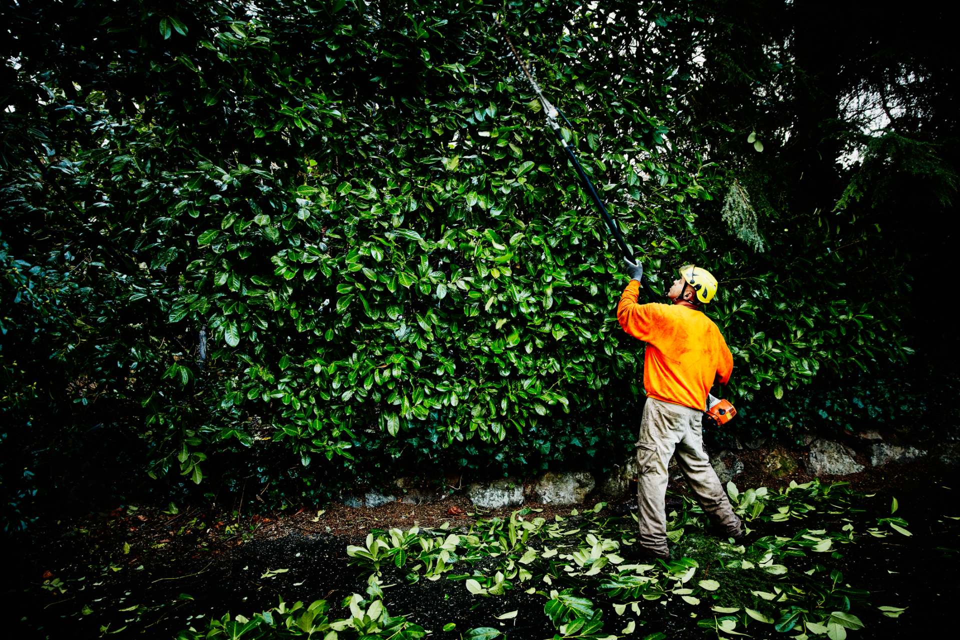 worker trimming with pole saw